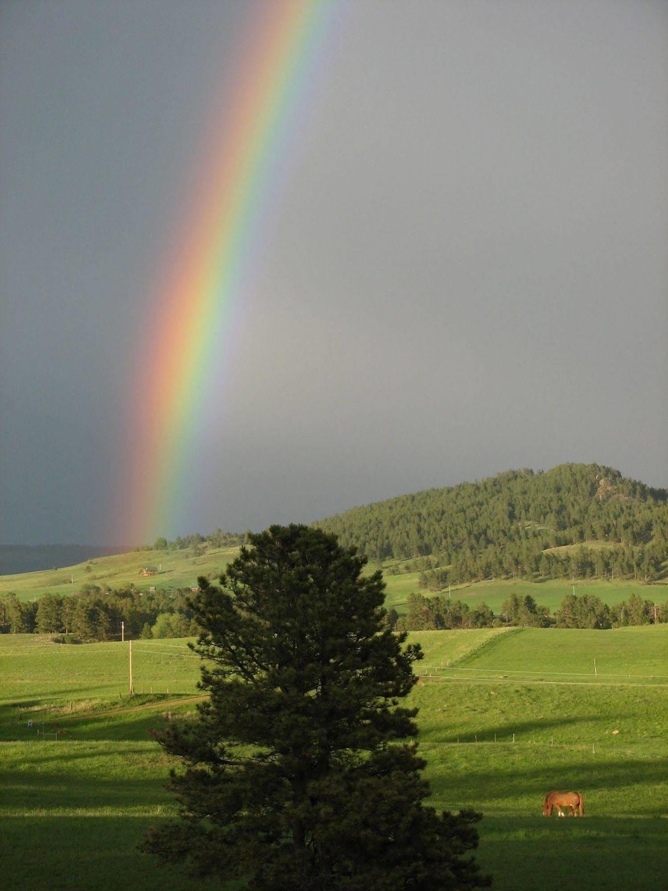 Sawin' Logs Inn Devils Tower Экстерьер фото